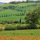 images.jpgtoscana