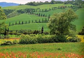 images.jpgtoscana