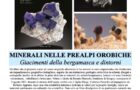 Libro “MINERALI NELLE PREALPI OROBICHE” 15/11/2025 Barzio, LC Screenshot
