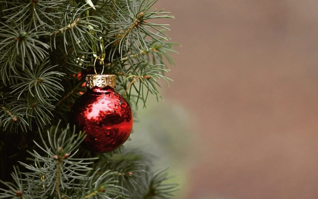 “I Beni Comuni ci indicano che NATALE è” di Cinzia Rossi