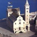 images.jpgtrani